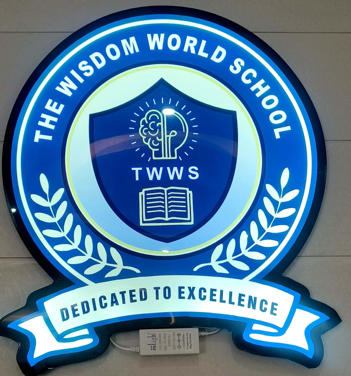 The Wisdom World School
